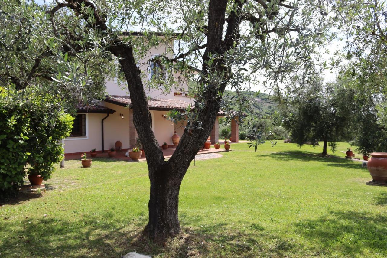 Agriturismo Il Bagolaro Villa Nerola Eksteriør billede