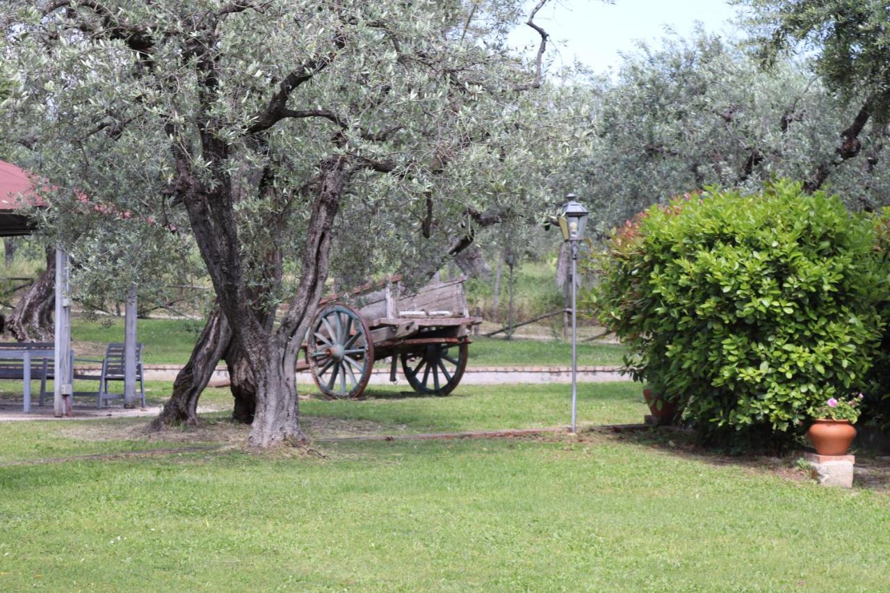 Agriturismo Il Bagolaro Villa Nerola Eksteriør billede