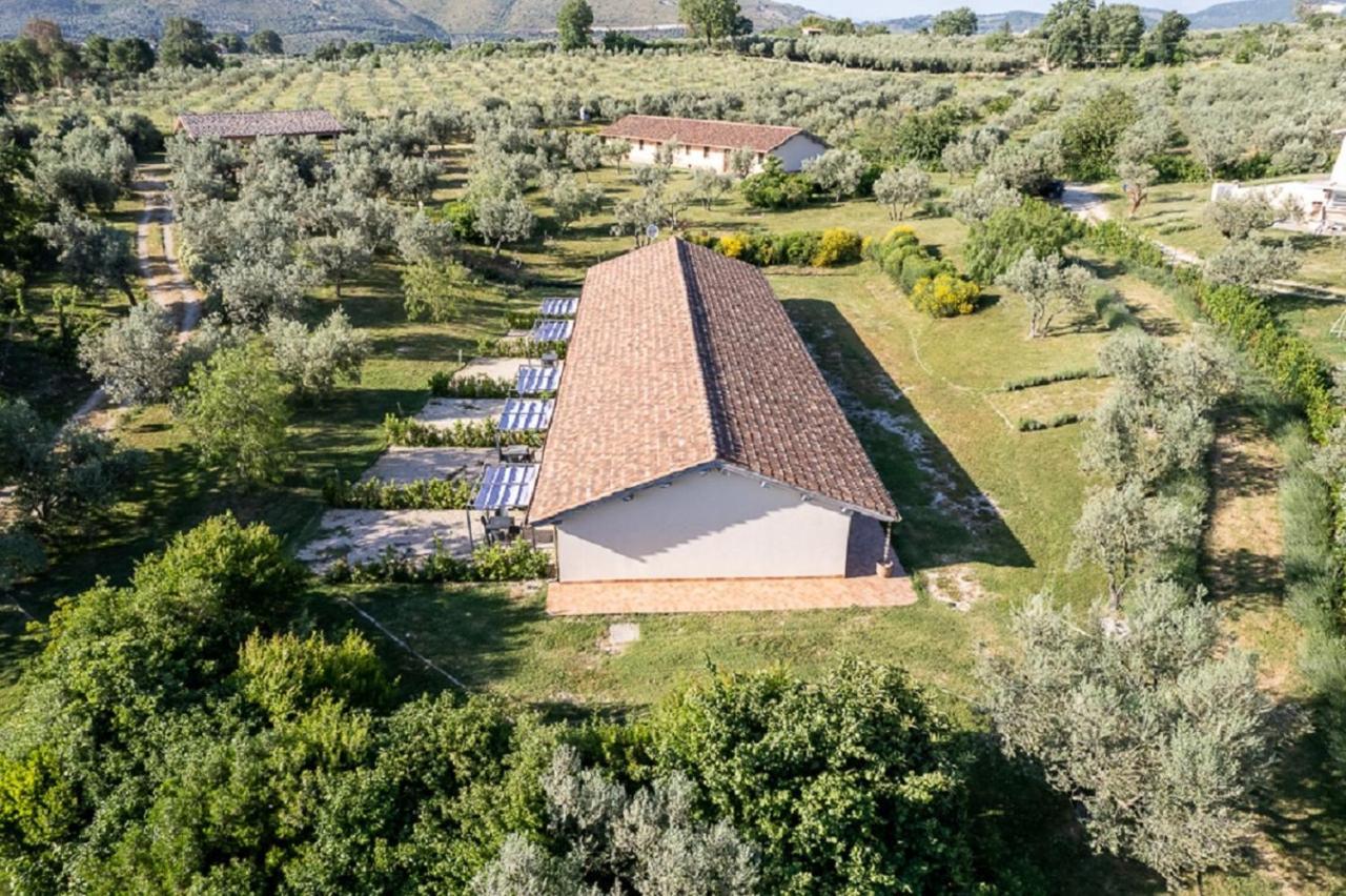 Agriturismo Il Bagolaro Villa Nerola Eksteriør billede