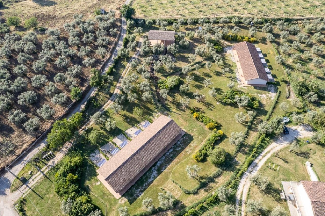 Agriturismo Il Bagolaro Villa Nerola Eksteriør billede